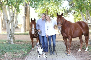Horses at Old Town use this pic