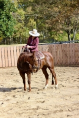 Horses at Old Town